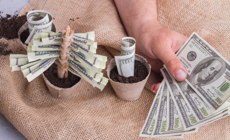 Grow Your Wealth With Simple Investment Techniques