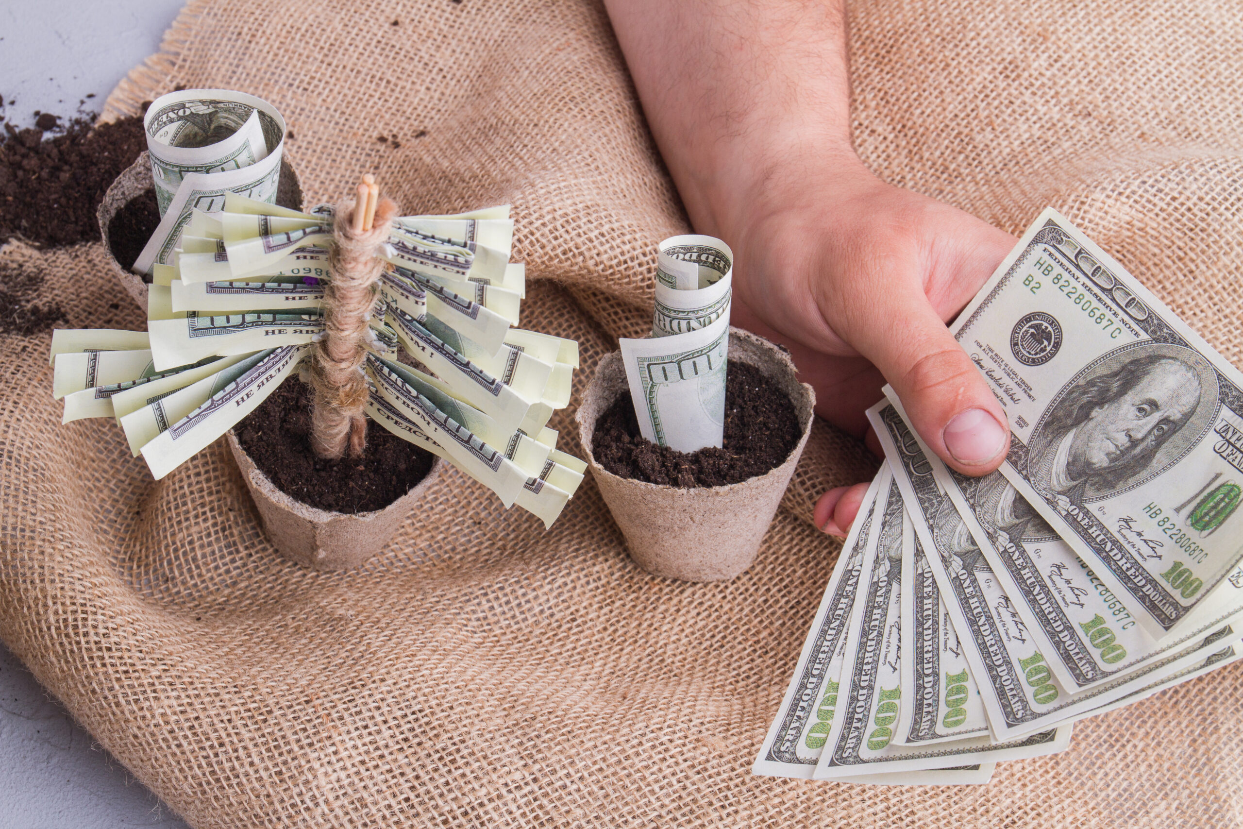 Grow Your Wealth With Simple Investment Techniques